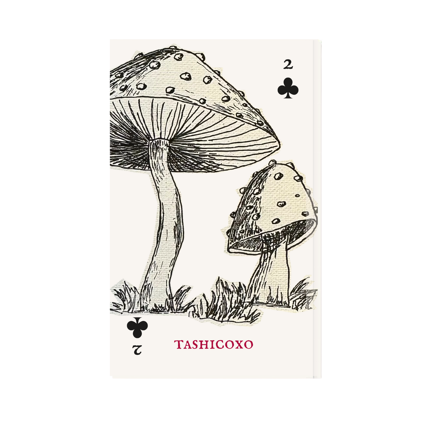 Two of Mushrooms 2026 Manifestation Pocket Notebook