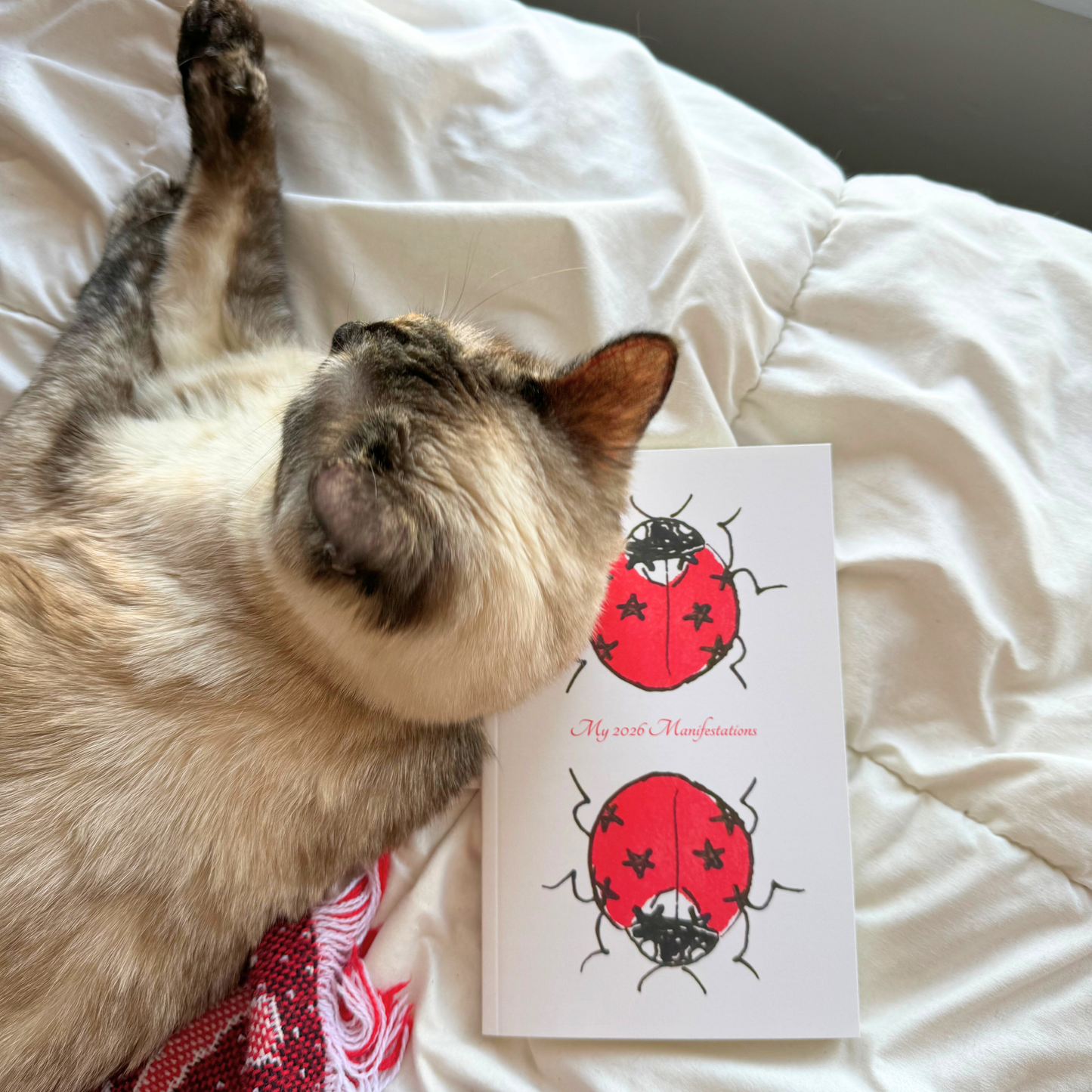 Lucky Ladybugs 2026 Manifestation Journal